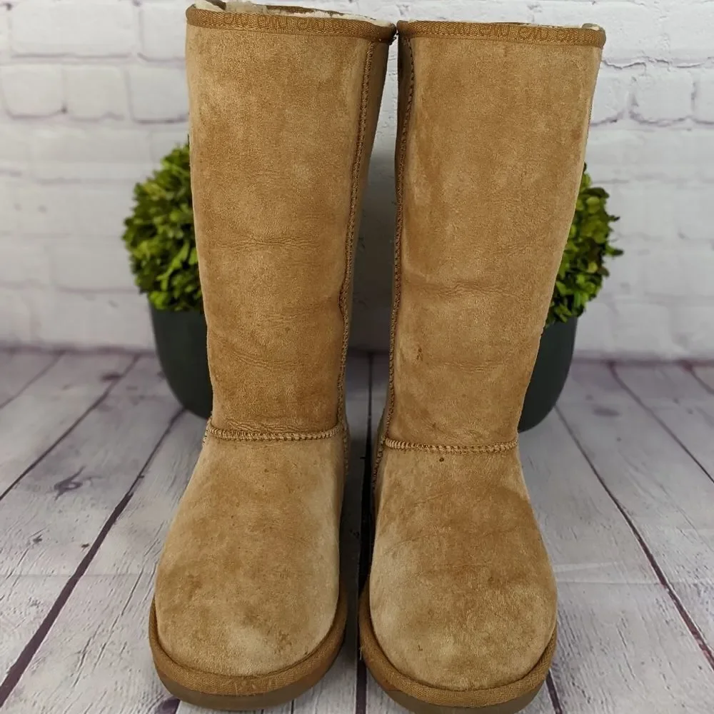 EMU Australia Stinger Hi Suede Boots